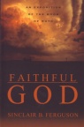Faithful God: Exposition of the Book of Ruth